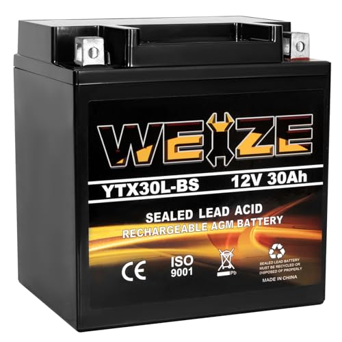 Weize YTX30L-BS AGM battery replacement for Harley-Davidson Street Glide Touring models